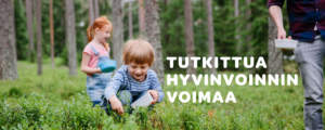 LGG Gefilus maitohappobakteeri tutkittua hyvinvoinnin voimaa mustikka